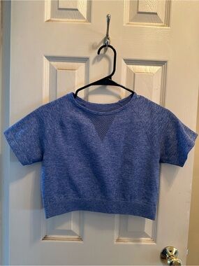 Buffbunny Blue Seamless Short Sleeve Cropped Top